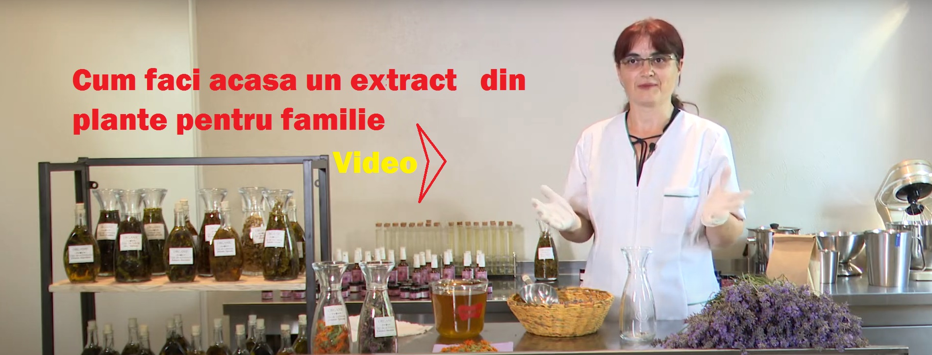 Ferma Domnita Maria din 2010